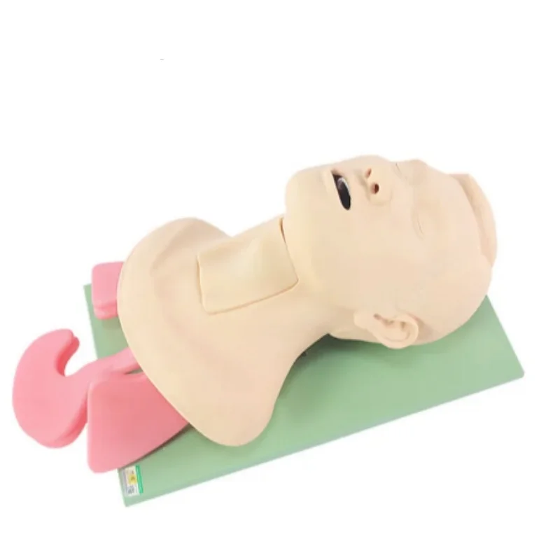 Modèle de formation à la gestion des voies respiratoires, ventilation nasopharyngée, simulateur d'intubation trachéale et de cricothyrotomie pour la pratique