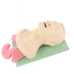 Airway Management Training Model, Nasopharyngeal Ventilation, Tracheal Intubation & Cricothyrotomy Simulator for Practice
