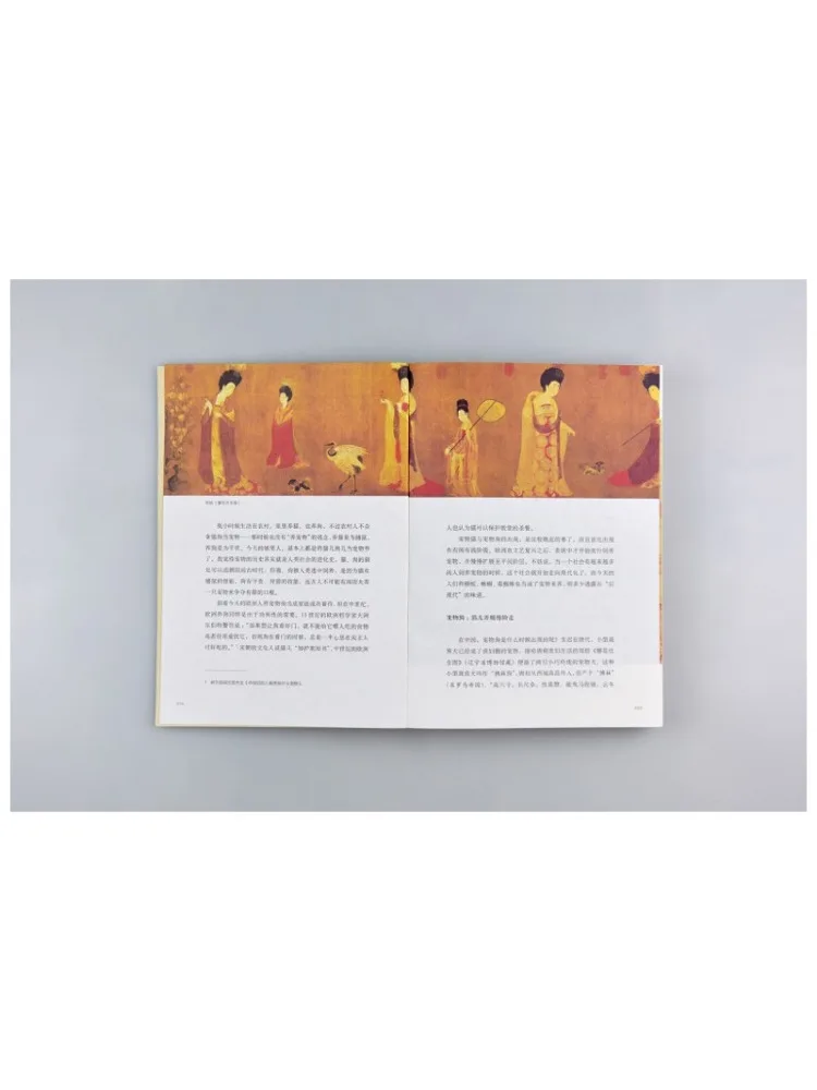 كتاب-Winshare Fengya أغنية الحضارة الأغنية المرئية