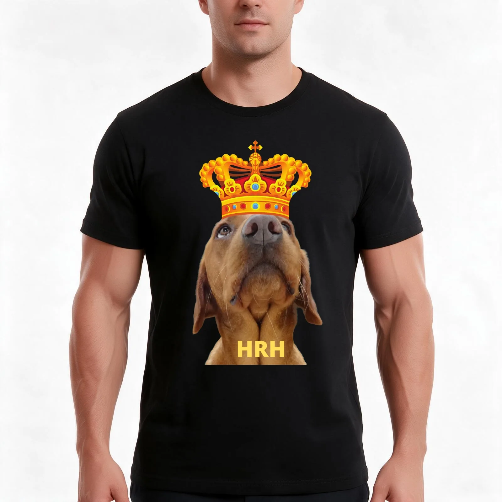 Hero, In a Royal Pose. T-Shirt, Summer Casual Cotton Tee, Oversized Streetwear Tops, Vintage Graphic Print, Unisex Men Women