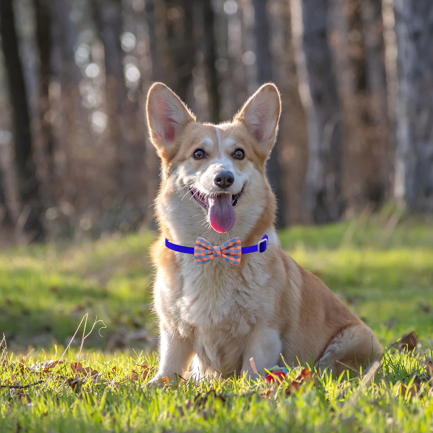 50/100Pcs Tartan Textile Plaid Dog Bows Adjustable Dog Collar Pet Dog Accessories Dog Bow Ties For Small Dogs Cat Grooming Bows