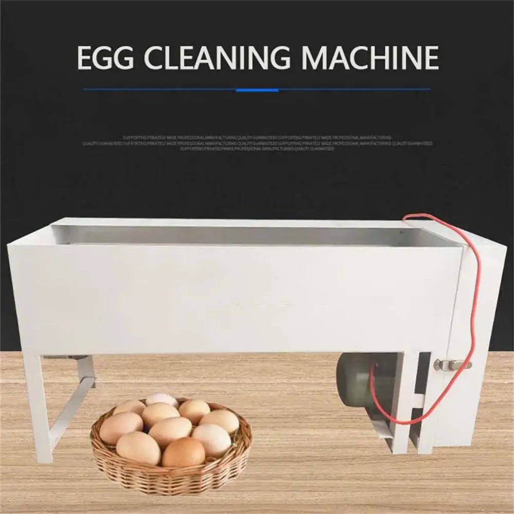 Fully Automatic Egg Cleaning Equipment Commercial Small Stainless Steel Egg Washing Machine High Efficiency