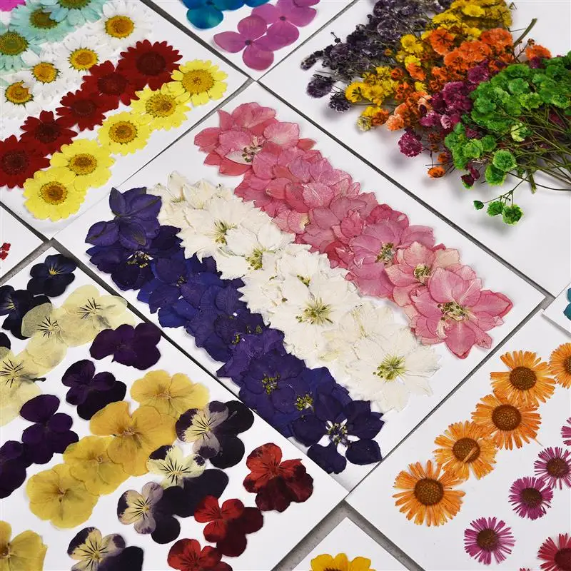 30 Pcs Natural Real Dried Pressed Flowers For Art Craft DIY Epoxy Resin Pendant Soap Craft Jewelry Card Making Dried Flowers Set