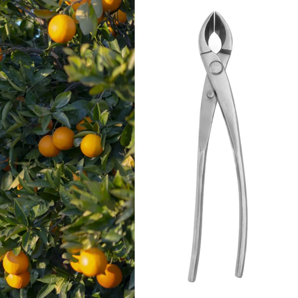 Durable Silver Concave Branch Cutter Stainless Steel Round Edge Bonsai Cutter Ergonomic Handle Bevel Design Branch Cutter