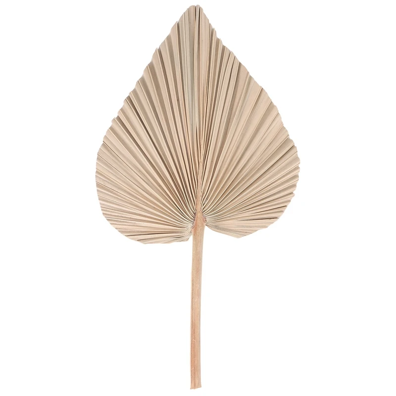 Dried Palm Leaves Room Decor 5 Pieces - 18Inch H X 10Inch W Large Natural Palm Leaf Decor For A Beautiful Boho Look