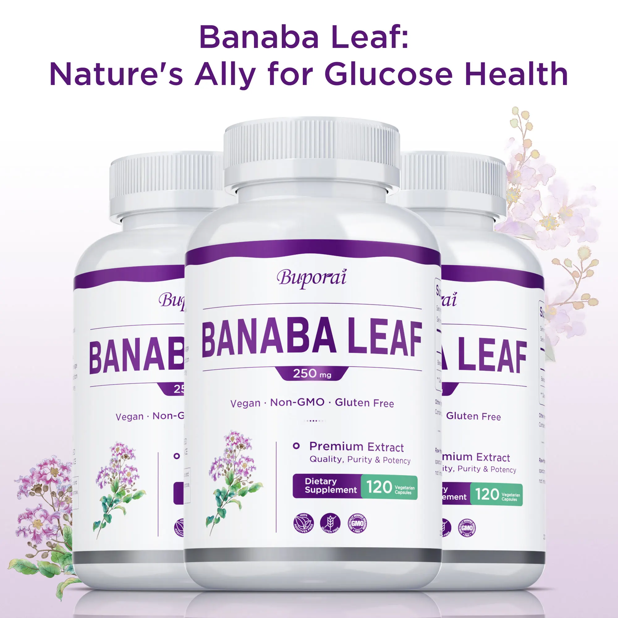 

Banaba Leaf - Reduce Stress and Anxiety, Healthy Blood Levels, Boosts Vitality, Maintains Overall Health, Improves Immunity