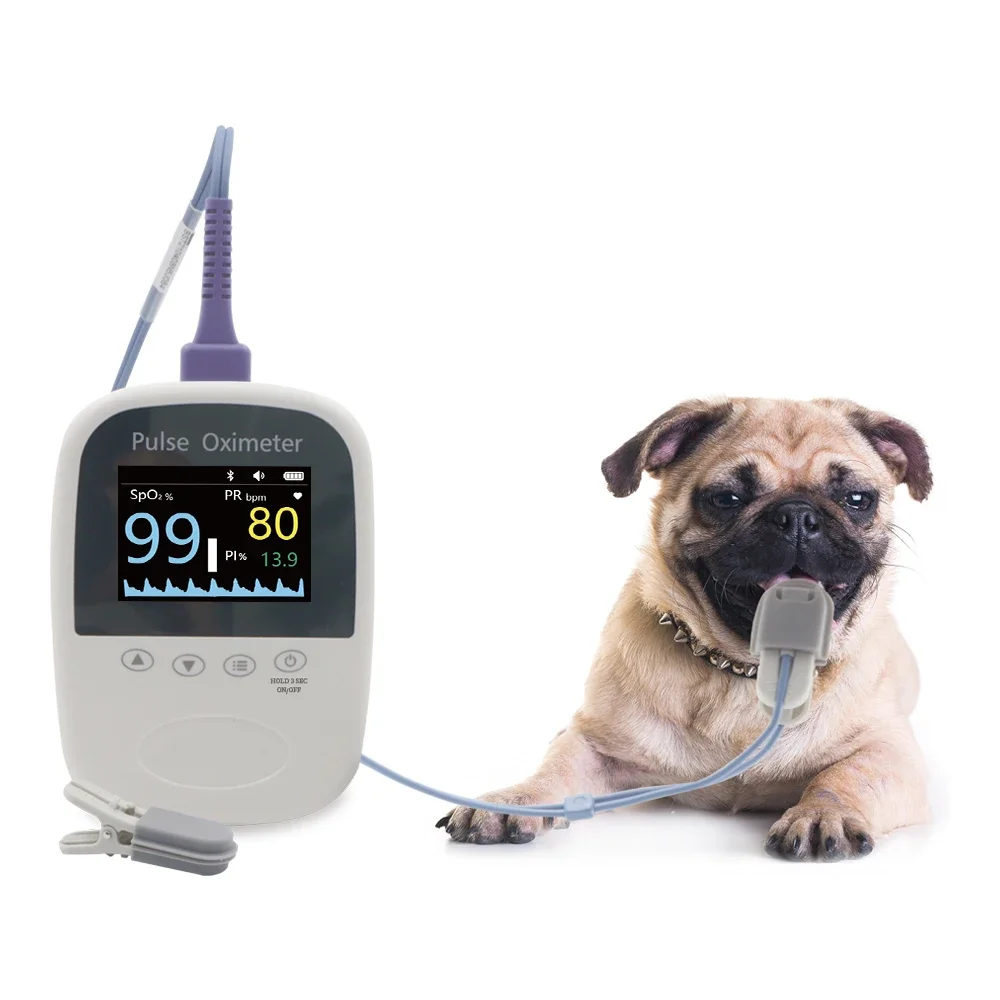 Freqüência Cardíaca Oxigênio Saturação Pet Monitor, Berry Oxímetro Veterinário, Bluetooth, Uso Animal, SPO2, Monitor de Pulsação