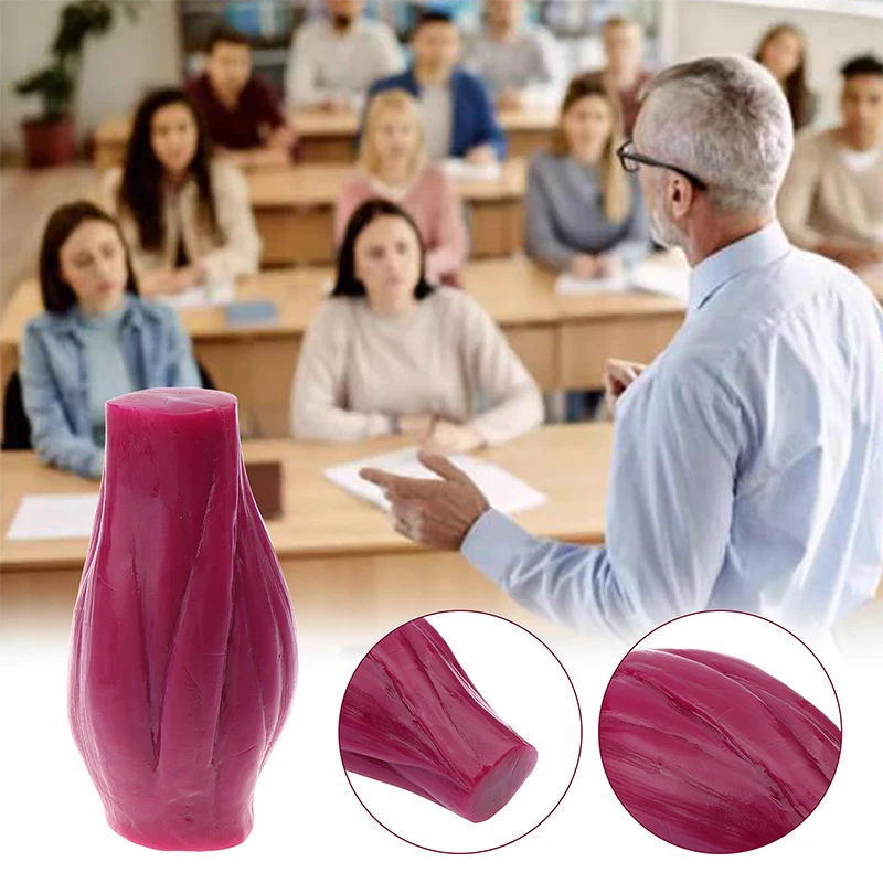 Model mięśni ludzkich 1 Lb Realistyczna replika ciała ludzkiego Wyświetlacz dydaktyczny Narzędzie medyczne edukacyjne Bezpieczny model struktury mięśni ludzkich