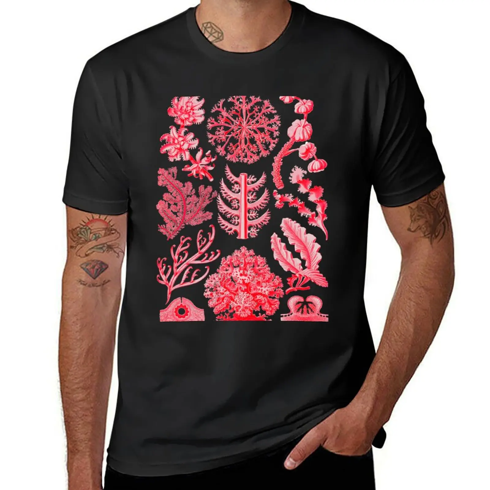 

Ernst Haeckel Florideae Red Algae T-Shirt plain customs vintage clothes big and tall t shirts for men