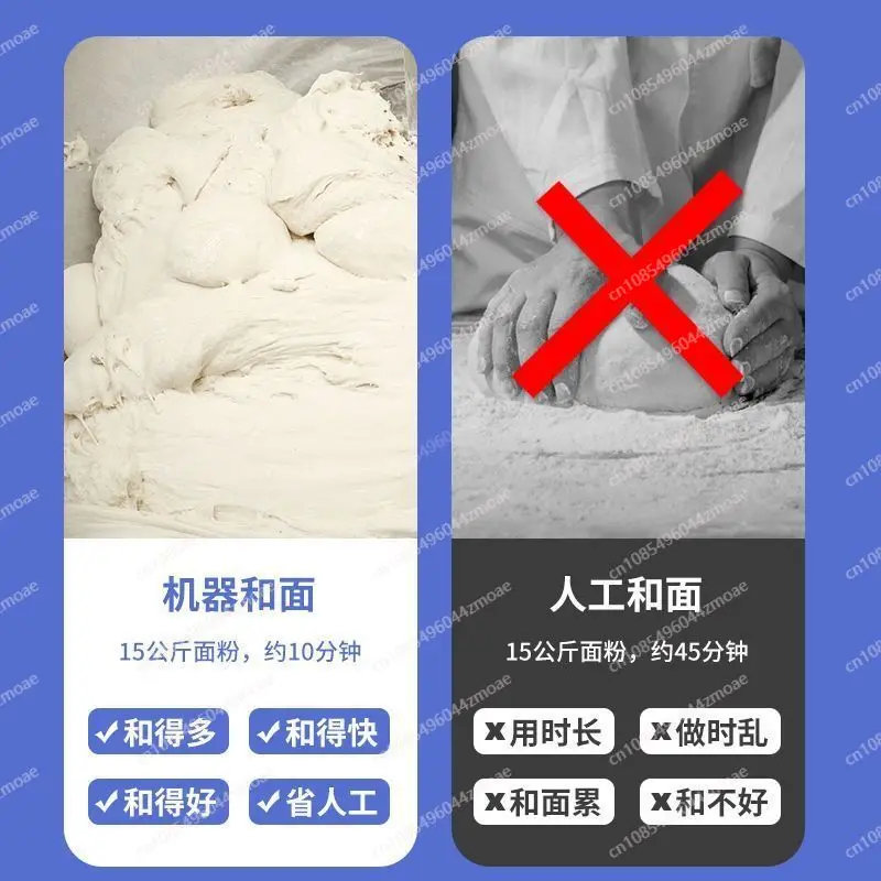 خلاط العجين الكواكبي التجاري | ماكينة عجان الدقيق المصنوعة من الفولاذ المقاوم للصدأ سعة 25 كجم و15 كجم #3