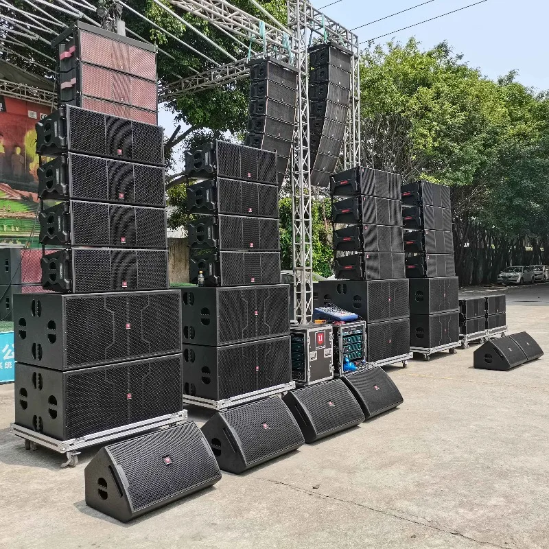 Dual 12 Inch Vibrant Dynamic Tone For Any Venue Rich Full Sound Perfect For Stage Performance