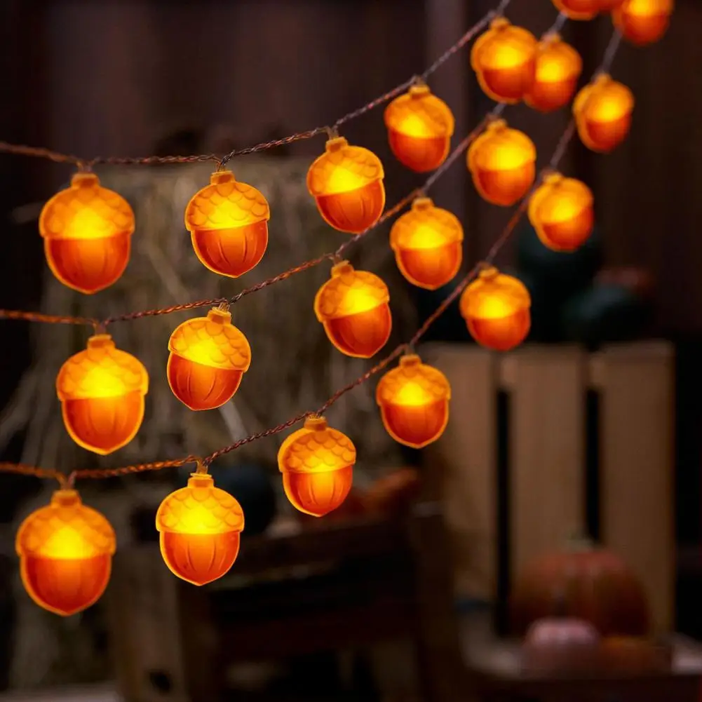 Thanksgiving Decoration Light Pumpkin String Light Battery-powered Led String Lights with Timer Function for Halloween Autumn