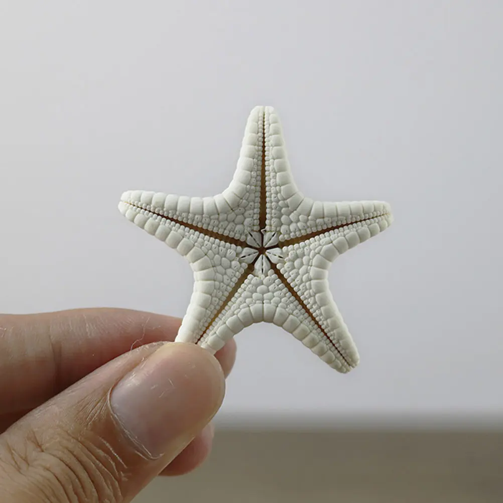9Pcs Natural Overlord Stars Coastal Style Decorative Crafts Perfect for Home Table Garden Beach Decorations Natural Overlord