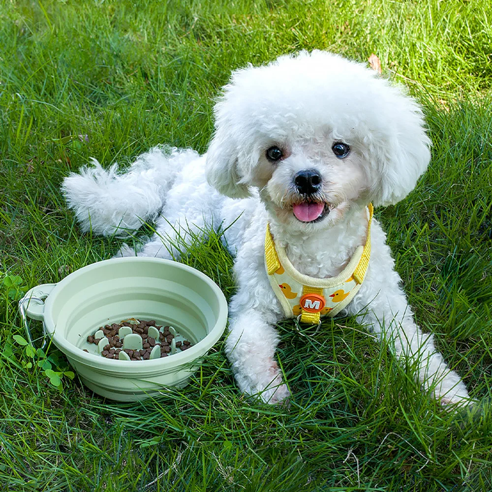 Thumbnail 3 - #6 Latest Collapsible Dog Bowls Offers