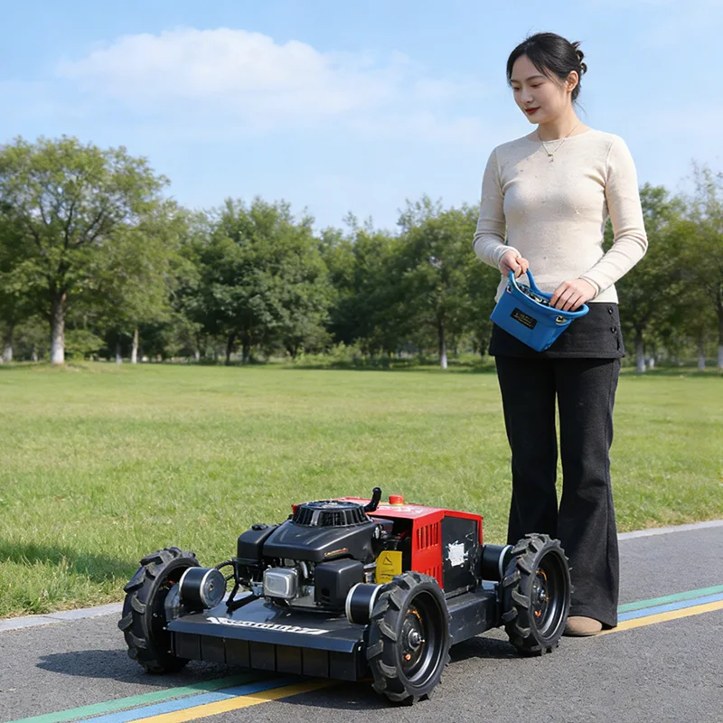 

Customized New Products Rideable style Lawn Mowers Motor All Terrain Farm Lawn Mower Crawler Lawn Mower for Sale