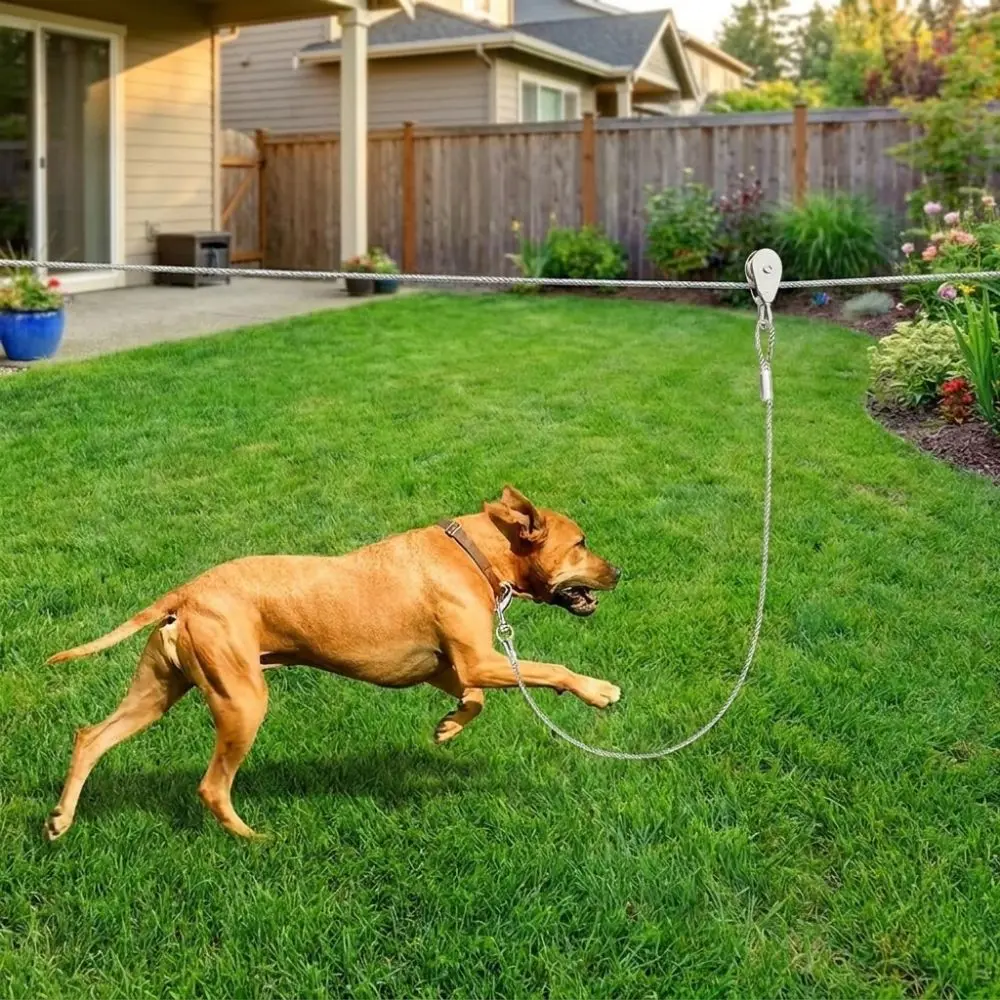 15/30M Outdoor Dog Tie Out Cable Metal Buckle Chew Proof Dog Runner for Yard Anti Rust Shock-Absorbing Dog Free Roam Cable Lead