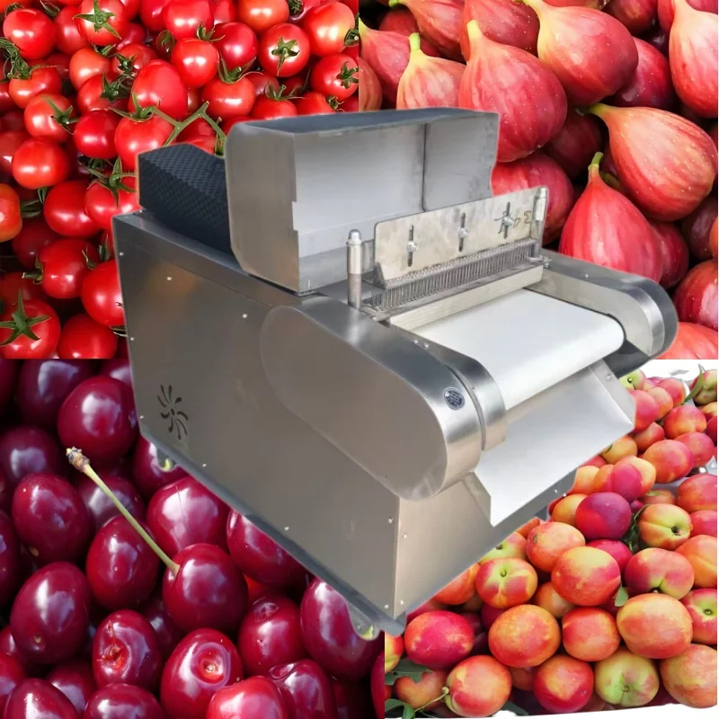 Automatic commercial fruit piercing machine, dry fruit processing line equipment, candy processing machinery