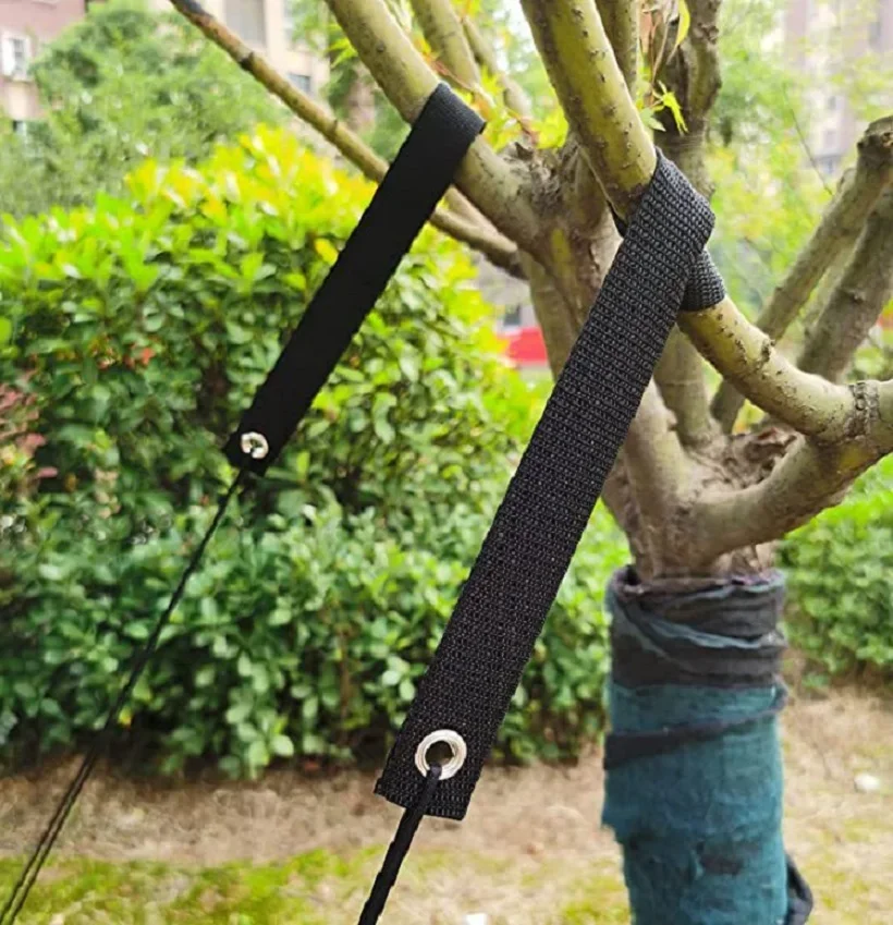 Cinturón de árbol a prueba de viento de 8 piezas, Correa fija de nailon estereotipada Antihuracán, buen soporte, accesorio para patio de ramas