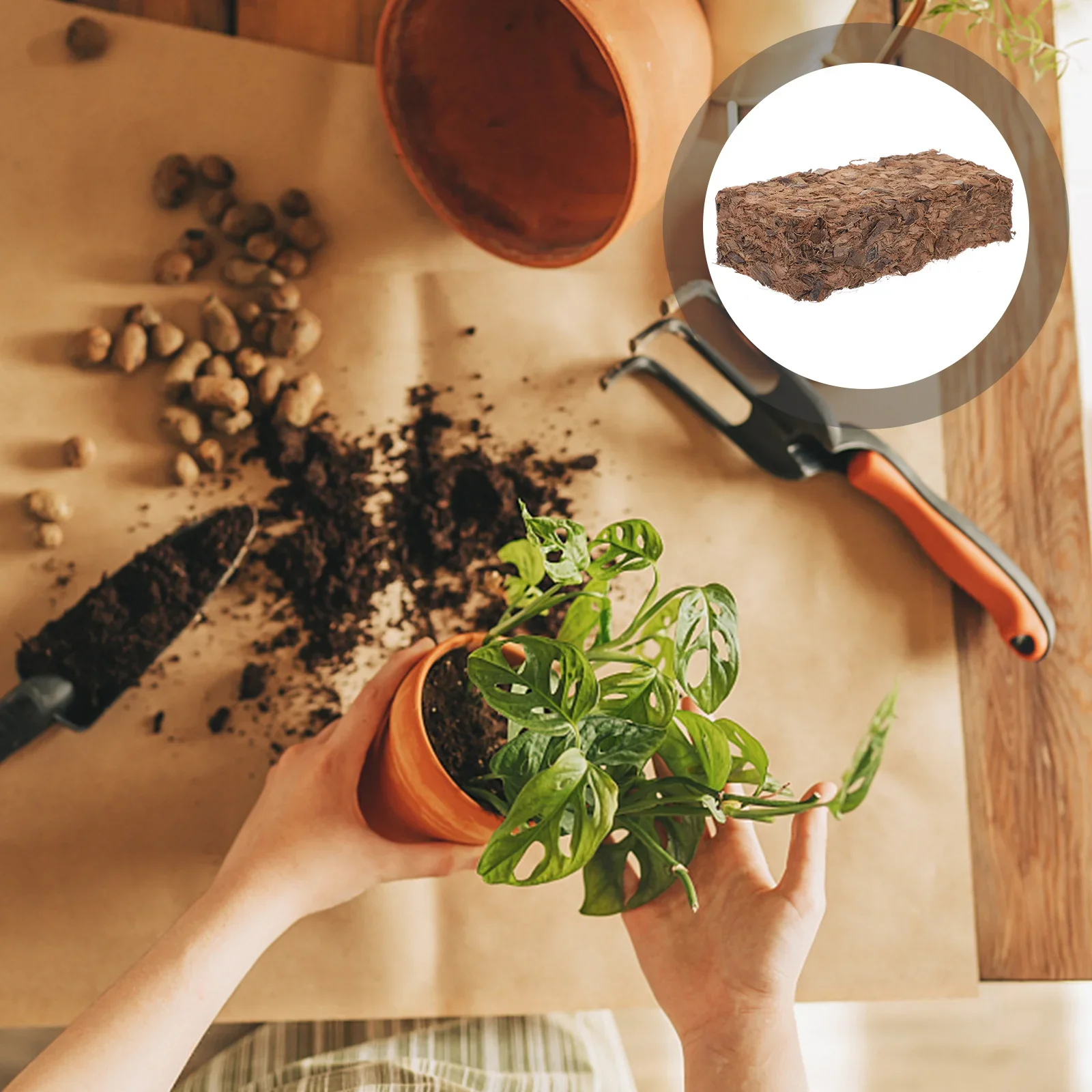 

500 г питательной почвы с розой орхидеи, кирпич из скорлупы кокоса, крупная кокосовая койра, кокосовый блок