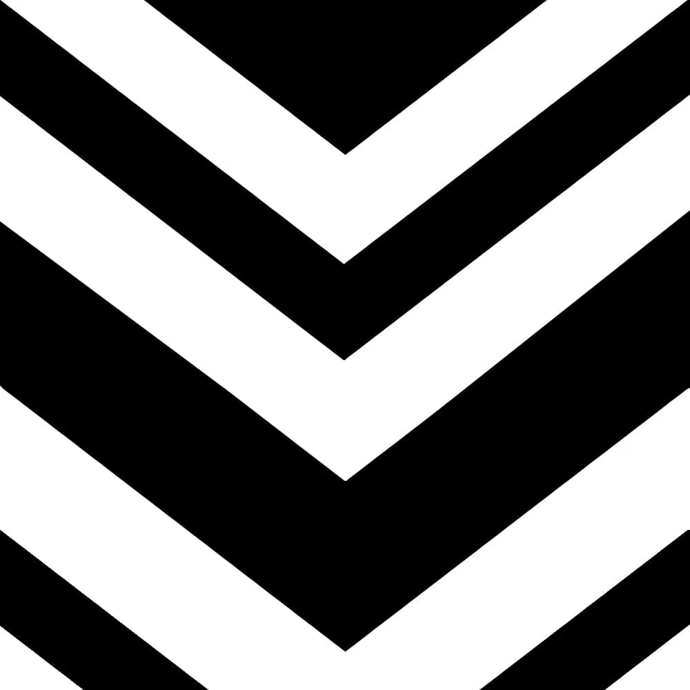1PC Throw Pillow Cover,Black White Chevron V Stripe Print,Geometric Modern Style,For Sofa Bedroom Couch Home Decor