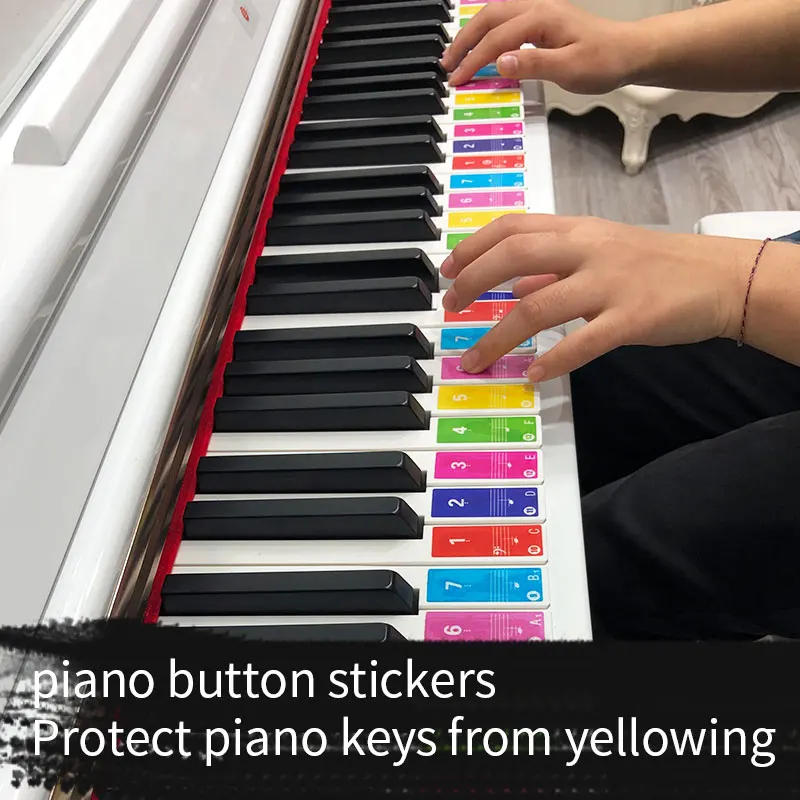 Removable Piano Colored practice stickers for beginners 88 61 76 49 Keyboard note labels Practice aids for piano learners Piano