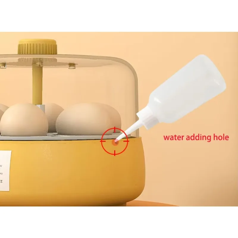 Automatic Household Mini Incubator For Hatching 6 Chicken Goose Ostrich Duck Turkey Eggs Condition New