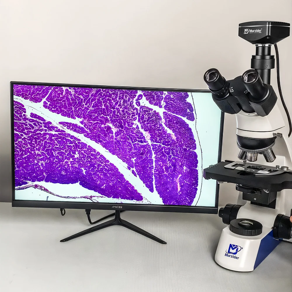 MSD-S750-2000 Scientific Research-grade Infinity Trinocular Biomicroscope with 20 Million Pixel