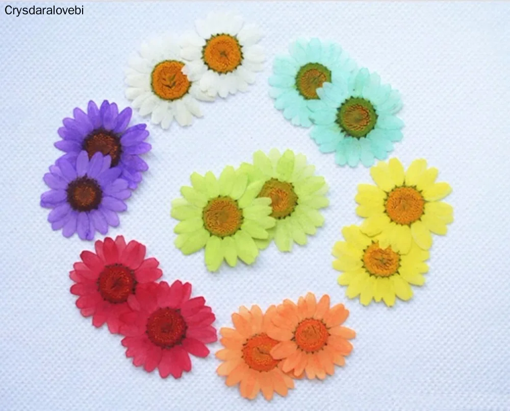 120pcs Pressed Dried Daisy Flower Plants For Epoxy Resin Pendant Necklace Jewelry Making Craft DIY Accessories