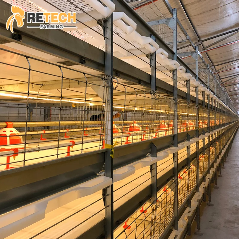 

Лидер продаж, автоматическая клетка для цыплят-бройлеров, оборудование для птицы, ферма-бройлер