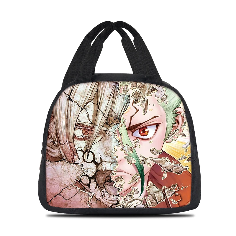 Dr.STONE Printed Lunch Bag for Primary and Secondary School Students, Dr.STONE Portable Bento Bag for Children, Ice Pack Bag