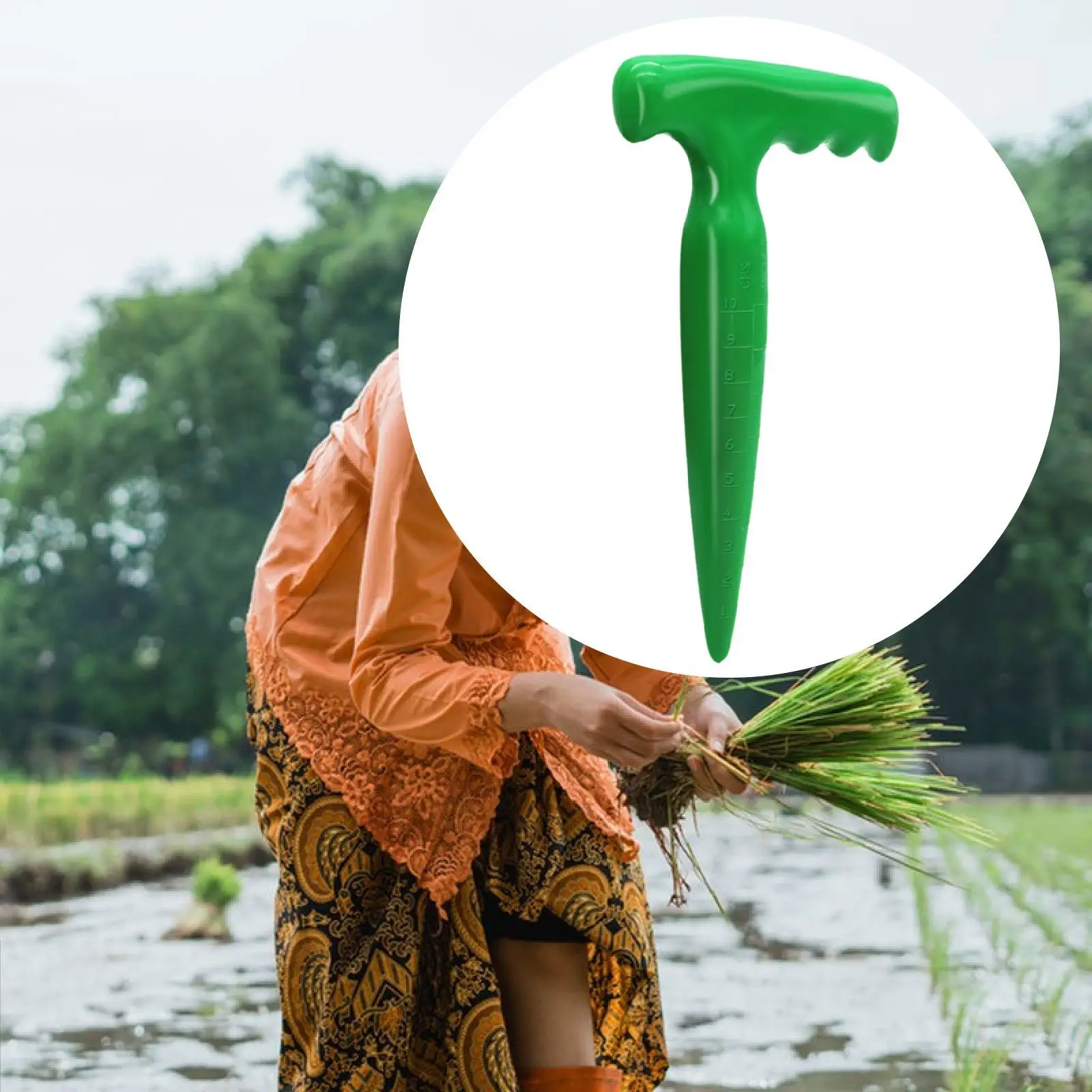 Sow Dibbler Strumento per seminatrice per fioriera verde per giardinaggio di diserbo su terreno sfuso