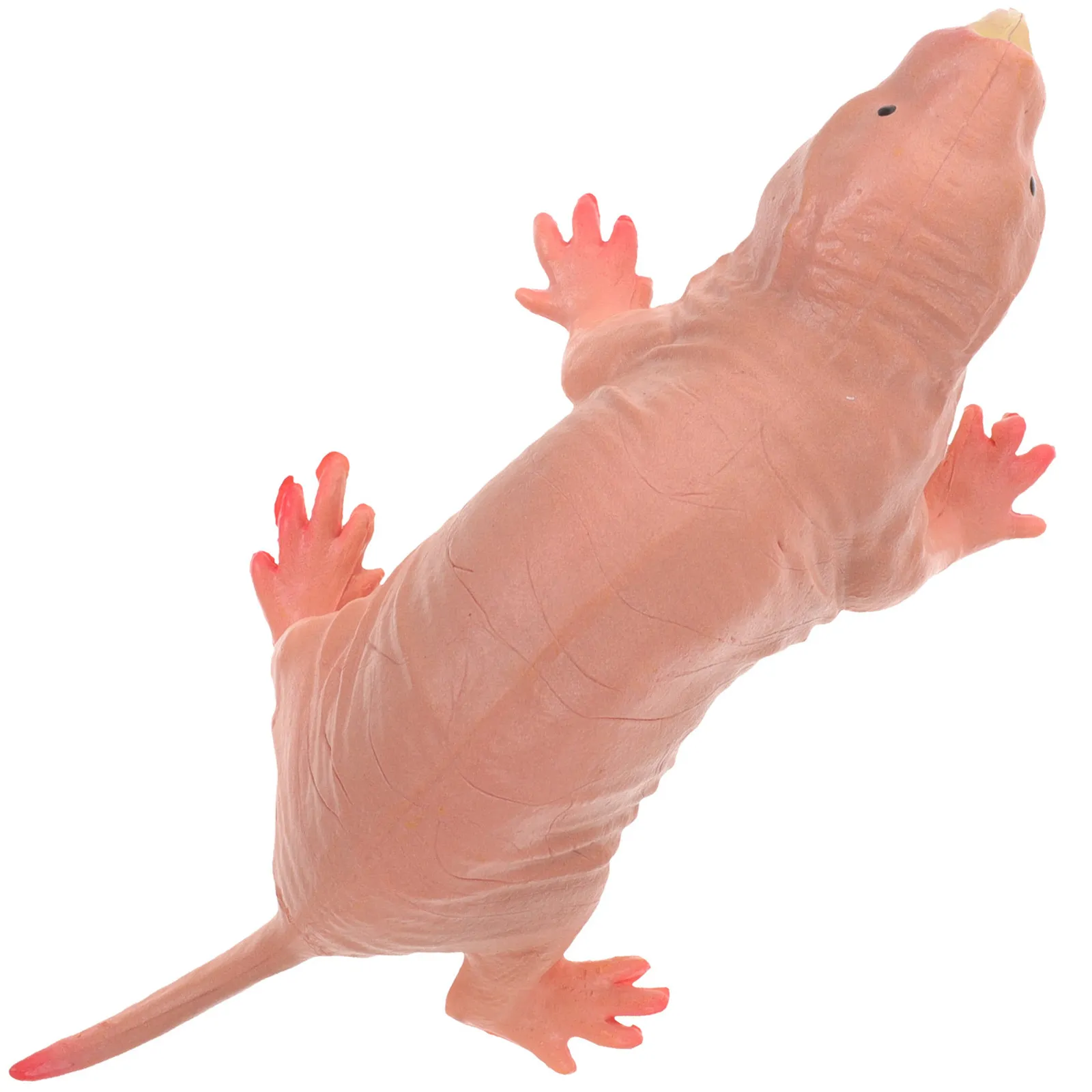 

Simulated Mole Plastic Animal Craft Lifelike Small Decorative Tabletop Desk Ornament Cartoon Mole Sculpture for Kids Home Garden