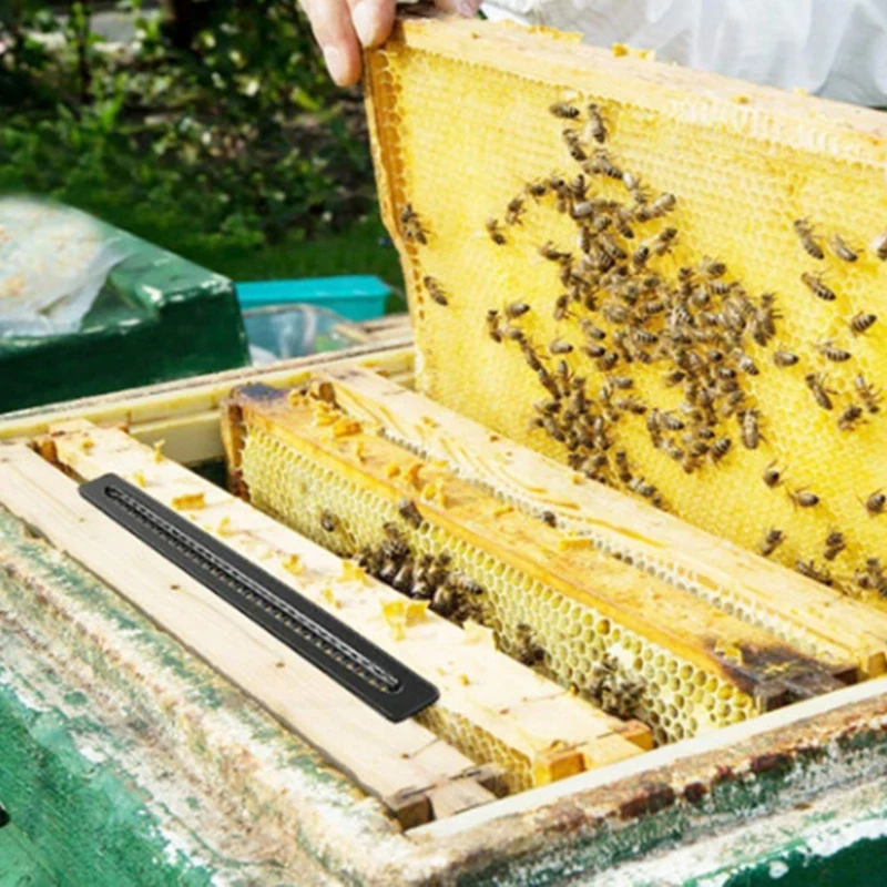 ABRE-Beetle-Blaster,Hive Beetle-Blaster TRAP ใช้งานง่ายสําหรับการเลี้ยงผึ้ง Beehive เครื่องมืออุปกรณ์การเลี้ยงผึ้งควบคุมด้วง