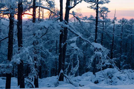 

4Pcs 109mm 1/10 Short Course Truck Tire Tyre with 12mm 14mm 17mm Wheel Hex for Trxs Slash ARRMA SENTON RC Car