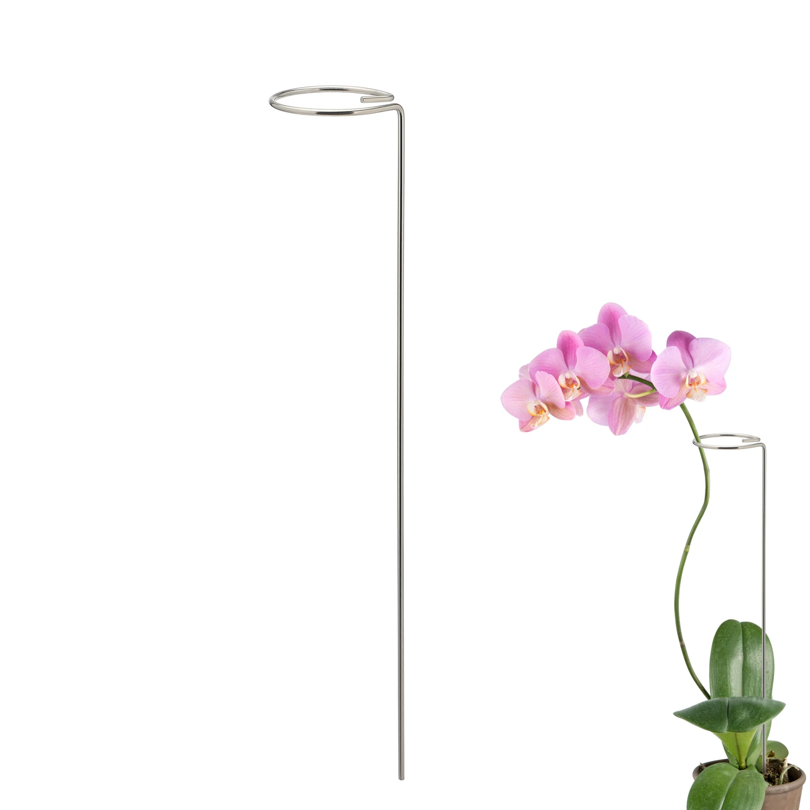 

Silver Stainless Steel Plants Flowers Support Stake Rose Phalaenopsis Orchid Sunflower Tall Single Stem Garden Planting Supplies