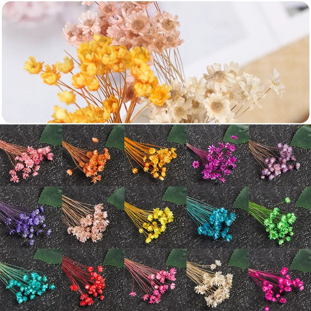 30pcs Beautiful Natural Plants Home Decor Floral Bouquets Dried Flowers Small Star Mini Daisy