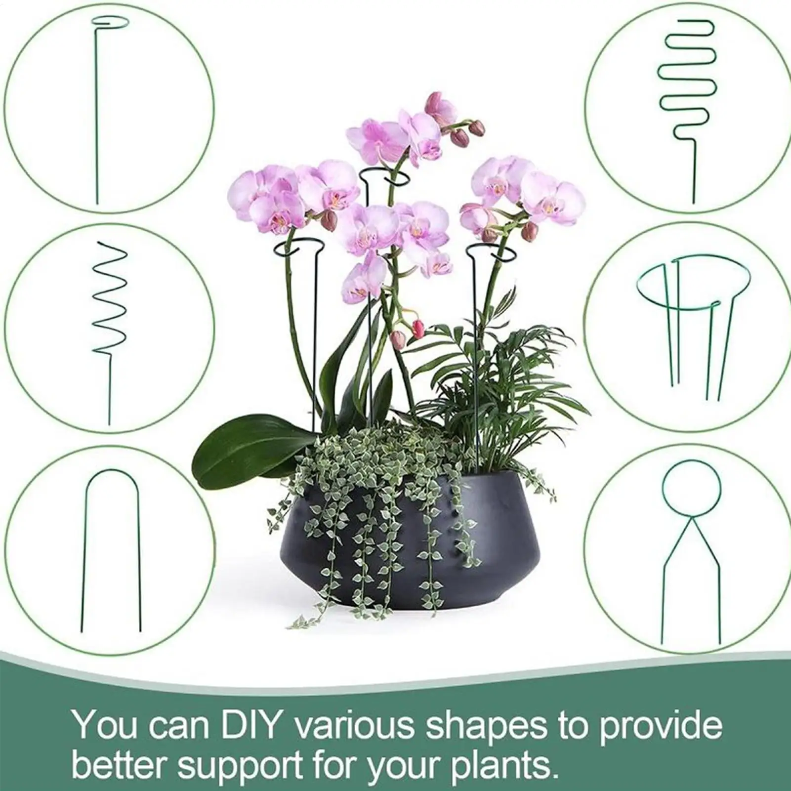 

Опорные колья для растений с зажимами Зеленые палочки для растений с регулируемым стопорным кольцом Подставка для цветочного горшка в помещении и на открытом воздухе