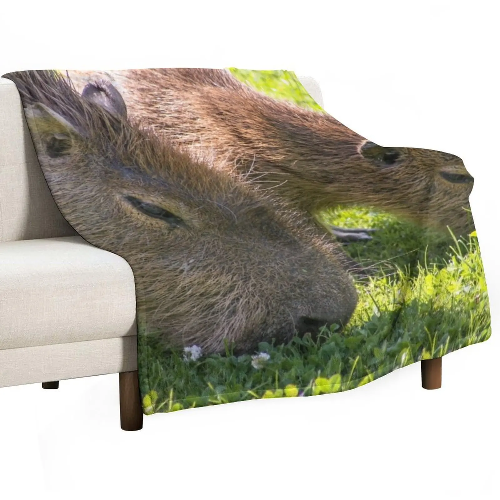 Capybara Throw Blanket Blankets Sofas Of Decoration Soft Plaid Tourist Furrys Blankets