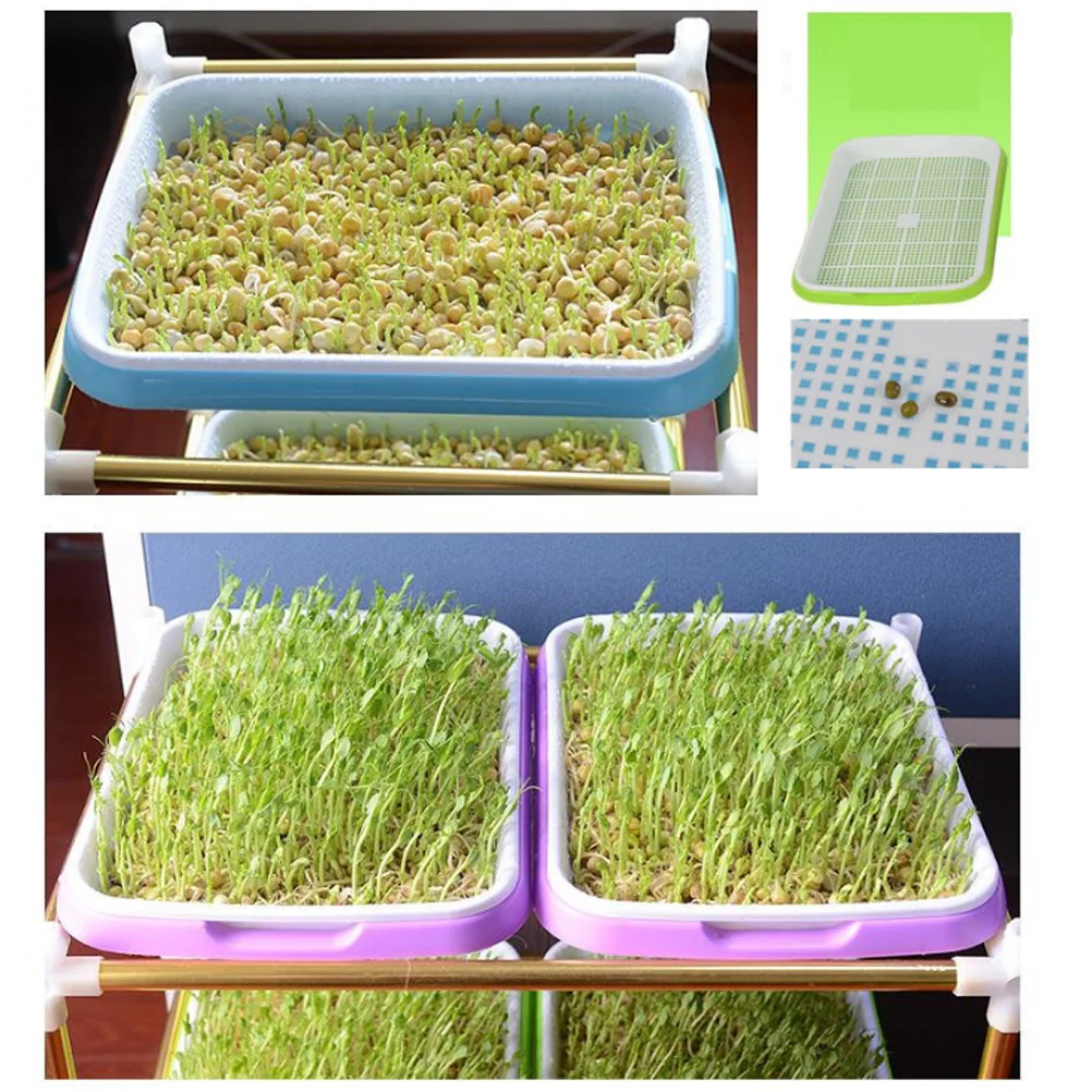 

Growing Tray Sprouter for Microgreens Starter Kit Plantable Propagation System Indoor Garden Grower Tool Efficient Tray Design