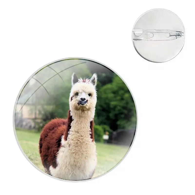 Lama Llama Alpacas Glass Dome Brooches Shirt Lapel Bag Cute Badge Pins For Clothes Hat Accessories