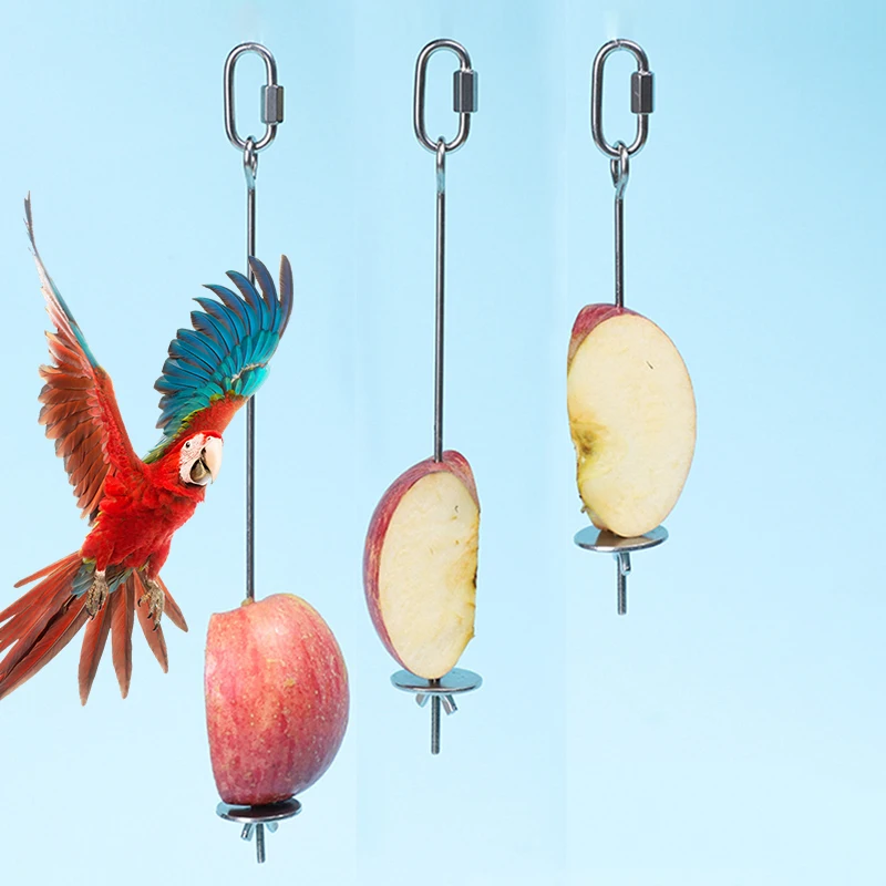 Bird Toy Skewer Fruit Spear Hanging Holder Pet Parrot Parakeet Meat Feeding Fork Stainless Steel Stick for Vegetable Skewer