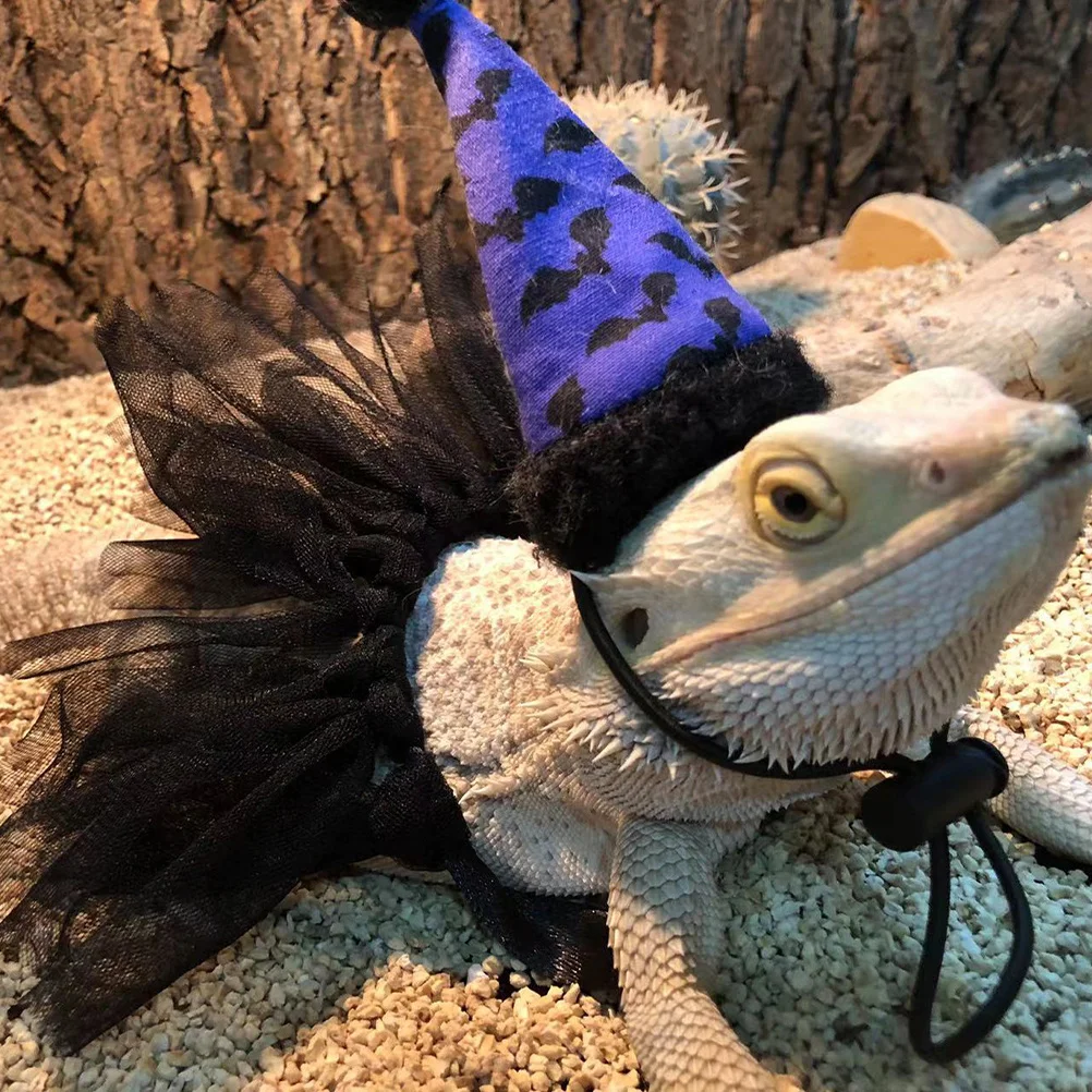 

1Set Lizard Costume Set Pet Skirt and Hat Combo Chic Halloween Themed Dress Up for Chameleons Bearded Dragon Comfortable Daily