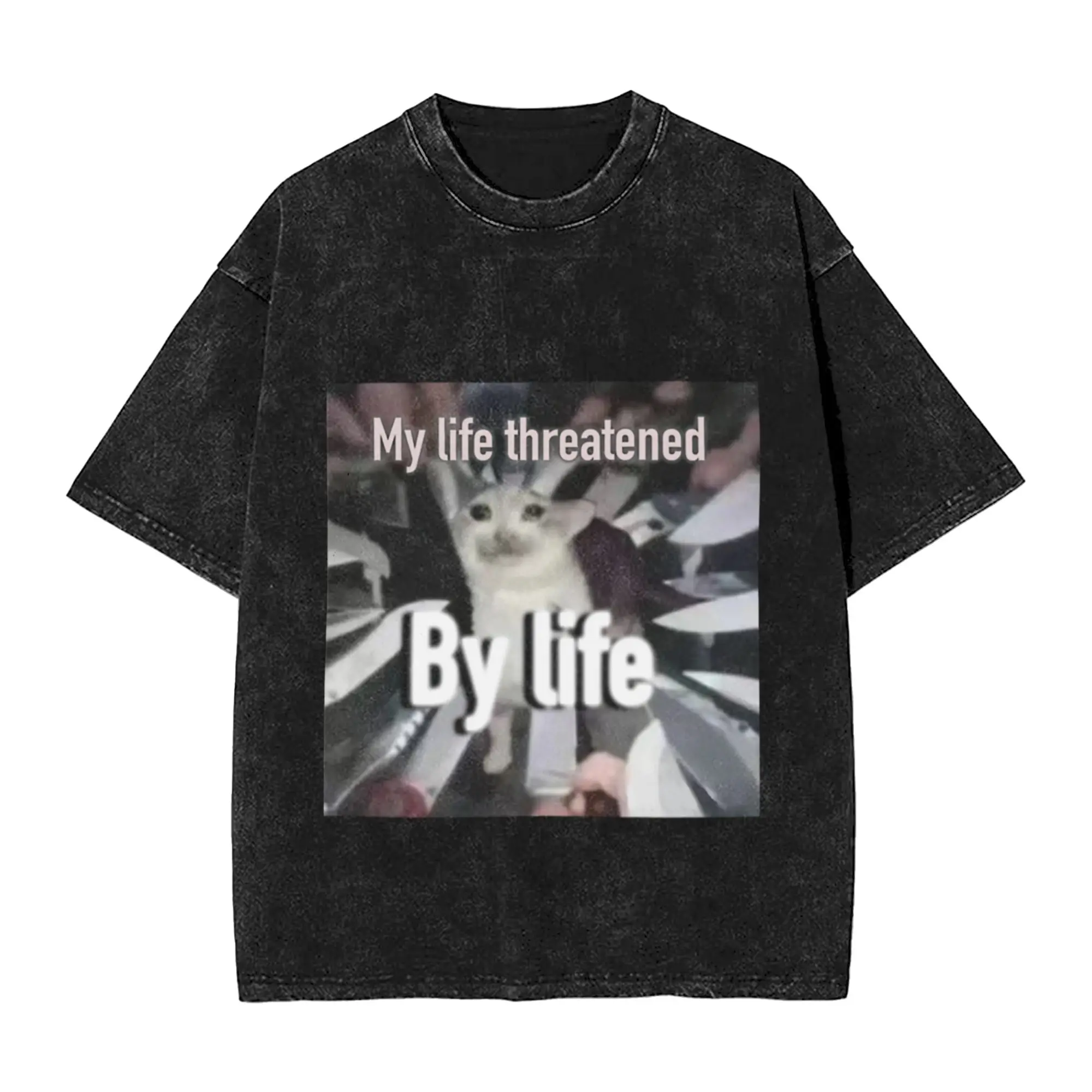 Cat meme about life Classic Trendy A Washed T Shirt Men's Oversized Cotton Tees Tops