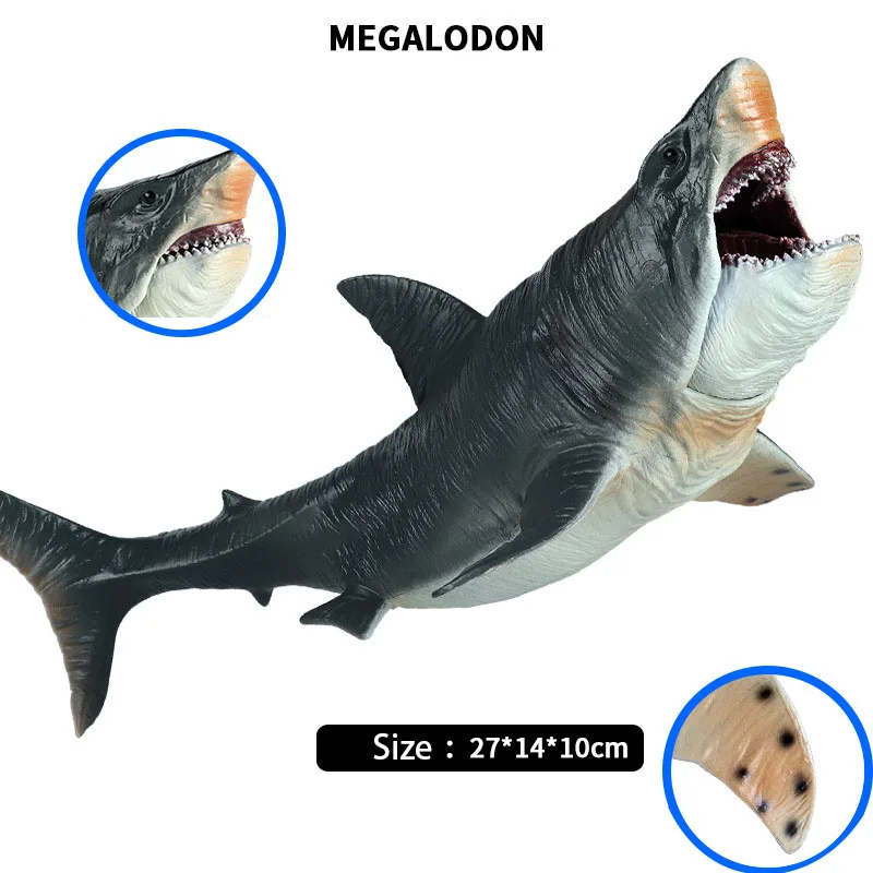 Simulation Shark Model Kids Large Marine Animal Toys Realistic Biological Megalodon Sea World Children's Educational Toy