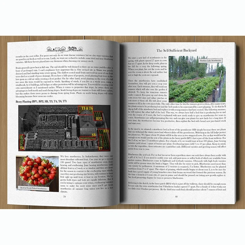 The Self-Sufficient Backyard Paperback - Book 