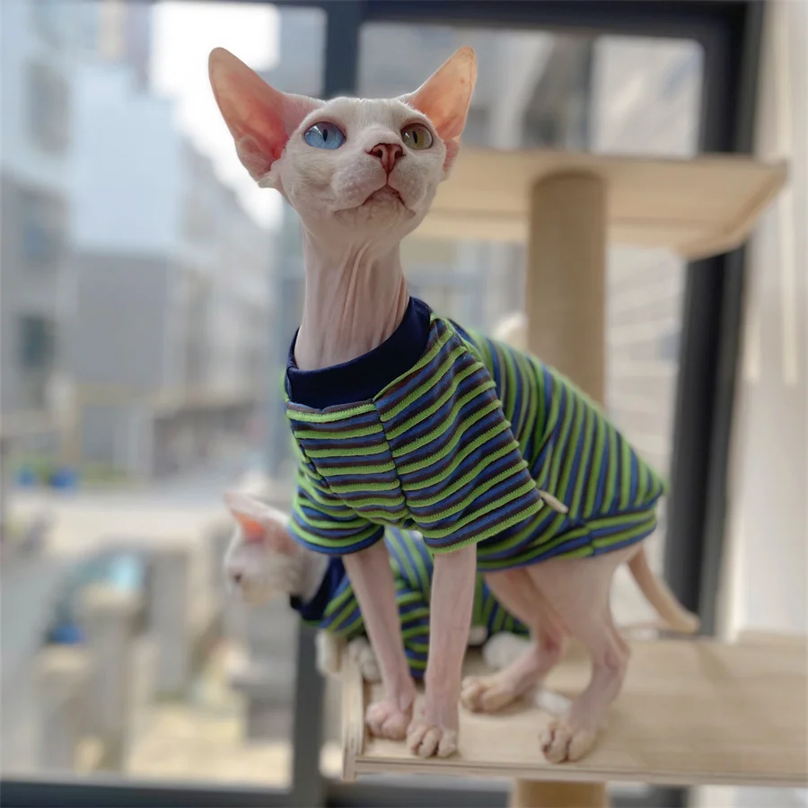 Fashion Clothing for Sphynx Cat in Summer Green Striped Cotton Pajamas for Kittens Soft Polo T-shirt for Male Cat Devon Rex Coat