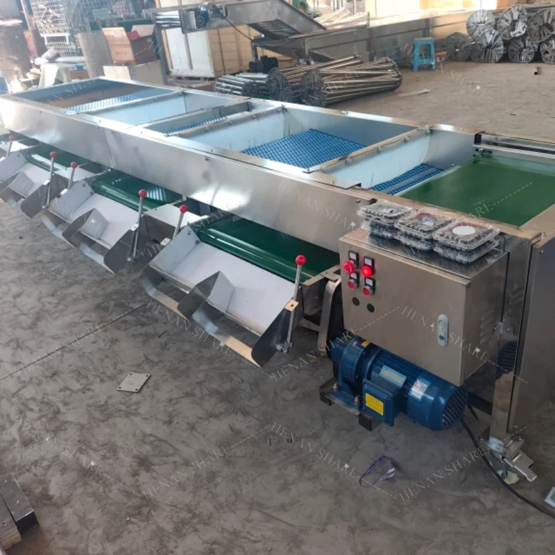 Automatic Grading Sorting Fruit Grading Machine Commercial Fruit and Vegetable Grading Machine for Factory Customized