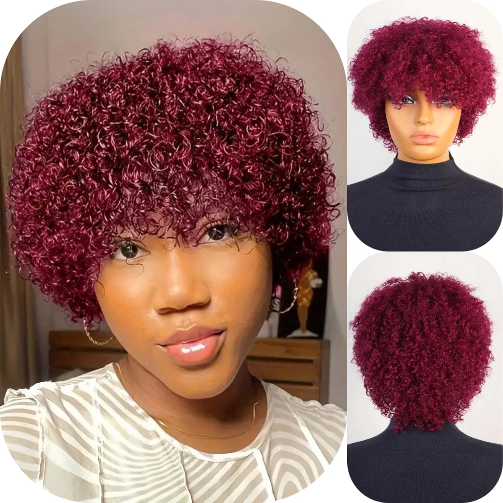 버건디 숏 픽시 아프로 킨키 컬리 가발 (앞머리 포함) 브라질 레미 인모 머신 메이드 가발 제리 컬리
