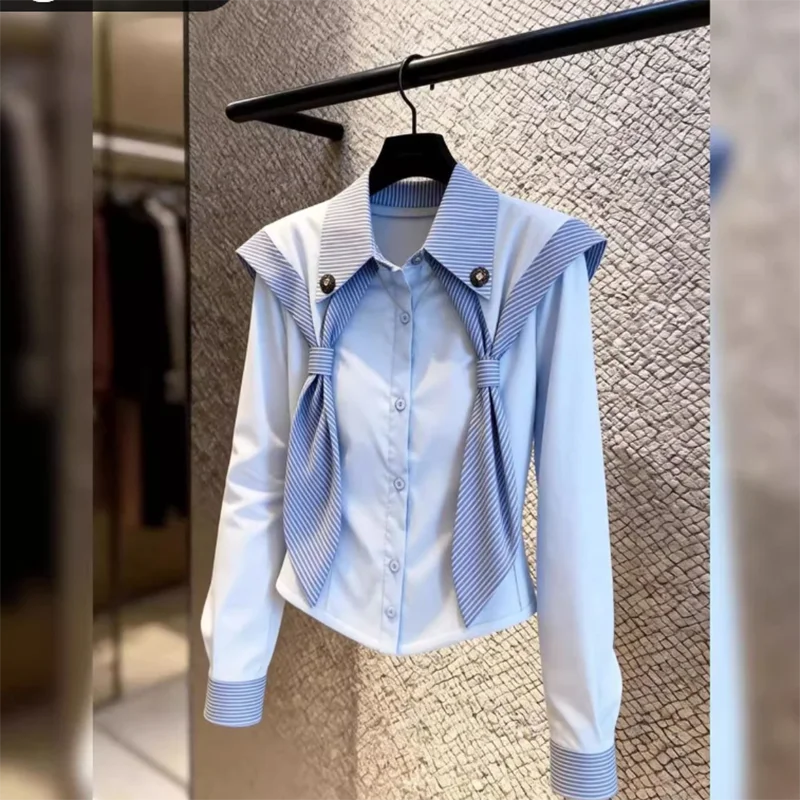 Korean Style Premium Commute Simple Blue Top Women Early Spring Shoulder Design Slimming Fashion Age-Defying Long Sleeve