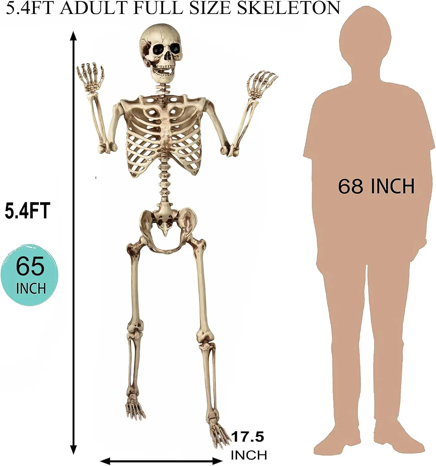 Halloween Skeleton, 5.4 Ft Life Size, Giant Full Body Posable Skeletons with Movable Joints, Outdoor Halloween Decoration, Haunted House Prop, Spooky Scary Graveyard Party Decor